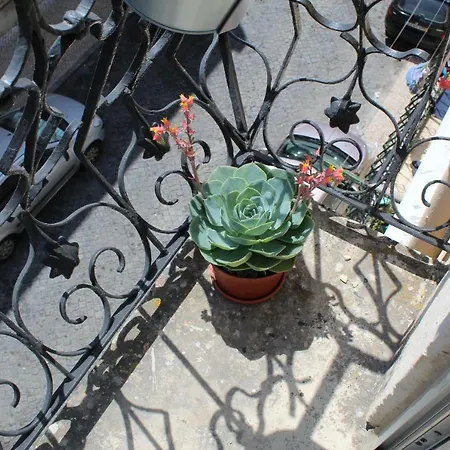 Cozy T1 In Marvila Apartman